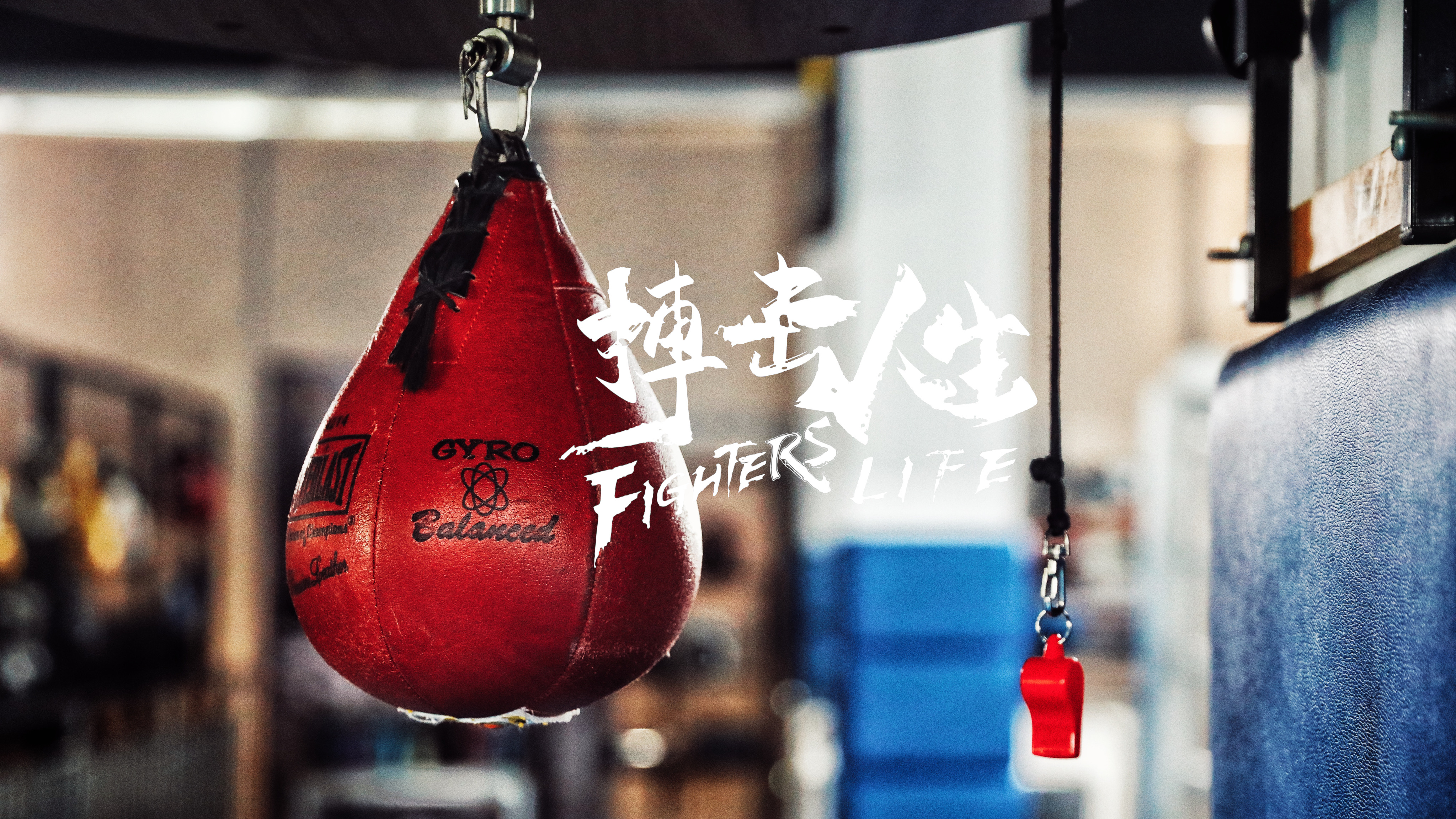 体育赛事搏击精神，选手全力以赴，振奋人心的简单介绍