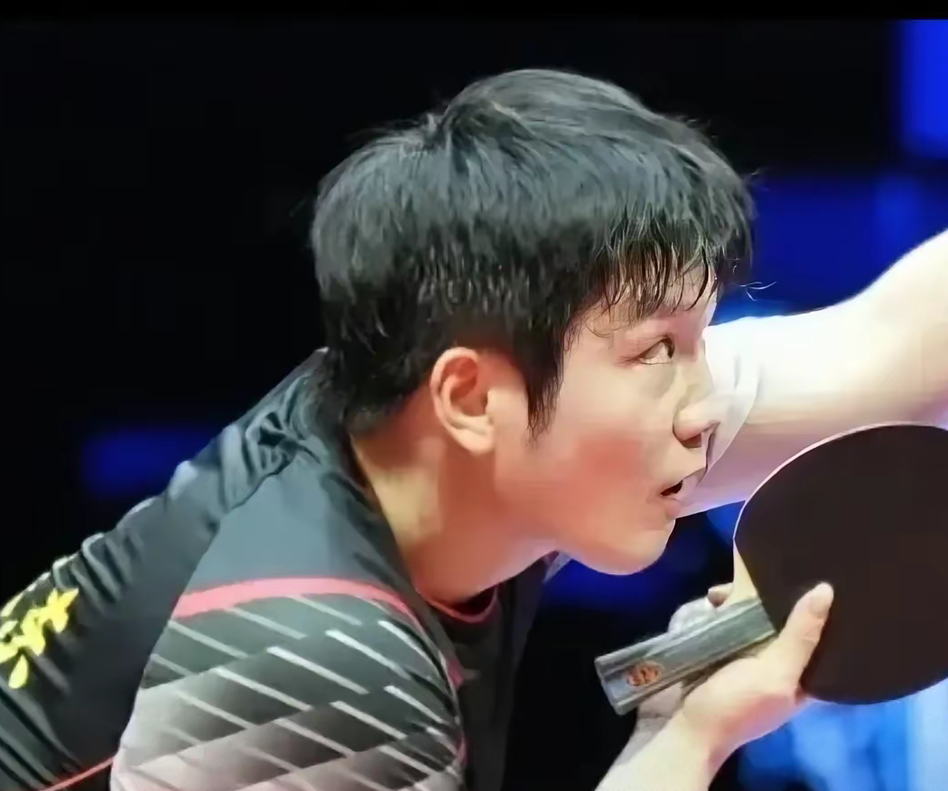 开云体育入口-德国队逆转奥地利队，樊振东高光表现的简单介绍