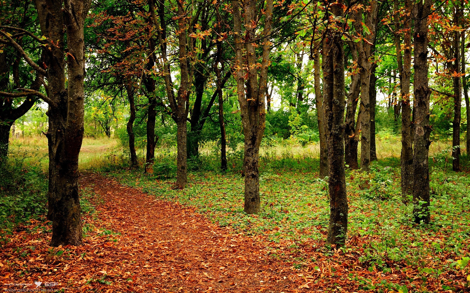 欧冠淘汰赛焦点战，76人决胜局力克北京队，篮球盛宴背后的战略与激情